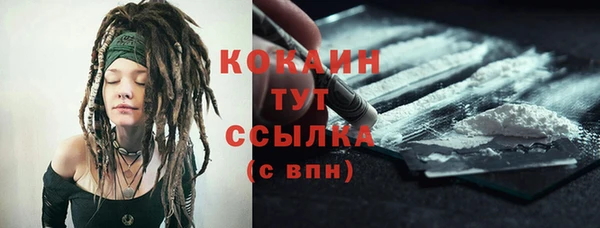индика Михайловск