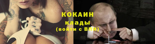 индика Михайловск