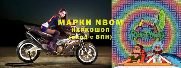 индика Михайловск