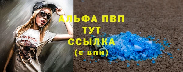 индика Михайловск