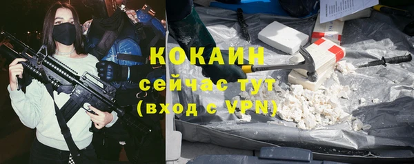 МДПВ Михайлов