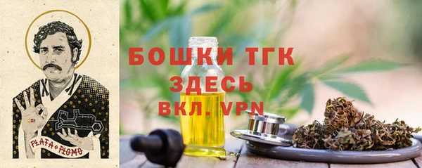 МДПВ Михайлов